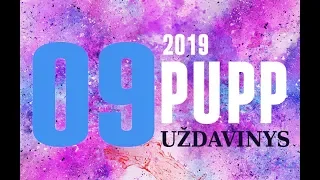 09 uždavinys | PUPP 2019