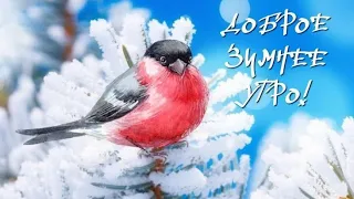 Хорошего настроения и чудес в дне сегодняшнем ...Доброе утро 💖❄️💖