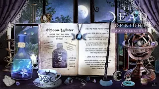 Moon Magic Ambience 🧹🌙🌚🌕✨ | An Evening of Lunar Spells & Rituals | The Dead of Night Book of Shadows