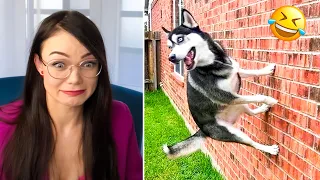 Funny Dogs And Cats Videos That Make You Laugh All Day Long 😂