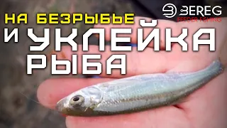 На безРЫБьЕ и уклейка РЫБА. Как ловить маятниковым забросом .