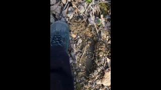 My Bigfoot Diary Part 2; Encounters March 3, 2012 to October 30, 2015