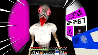 NON TOCCARE CHICKEN HEAD!! - Minecraft SCP 3467