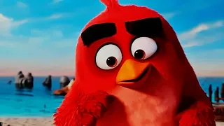 The Angry Birds Movie Red's Plan Scene + The Birds Build A Boat Scene