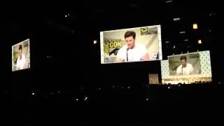 Complete Marvel Comic Con 2014 Avengers Panel [HD]