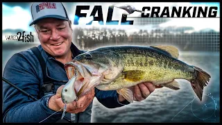 Find and Catch More Fall Bass with Deep Diving Crankbaits