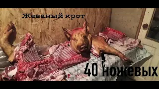 40 ножевых (кавер на Синдром живого трупа)