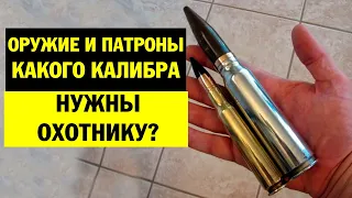 Оружие и патроны какого калибра нужны охотнику? нарезное или гладкоствольное?