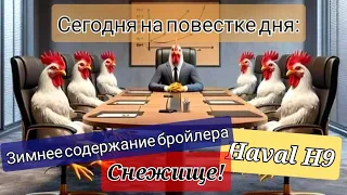 Зимнее выращивание бройлера. Как не прогореть? Обязательные работы на новом Haval H9