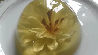 Делаем цветы в желе - это вкусно и красиво | 3D