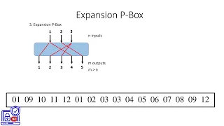 6. Expansion P Box