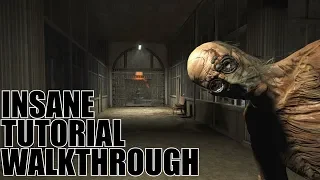 Outlast Insane Mode Speedrun Tutorial Walkthrough - Lunatic Achievement Guide - Glitchless