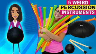 5 Weird Percussion Instruments - You May Not Have Heard of