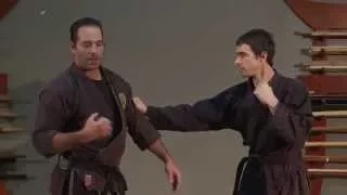 Gyokko Ryu Waza,  Danshu,  Bouncing Fist