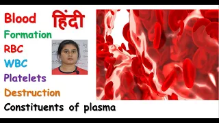 Blood anatomy & physiology in hindi || RBC || WBC || Platelets || composition of blood