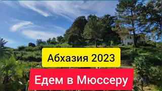 Мюссера Абхазия. Дача Сталина и Горбачева в Мюссере. Абхазия 2023