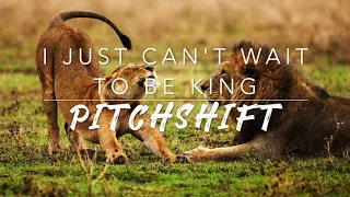8D I Just Can't Wait to Be King — The Lion King Broadway | PitchShift