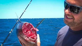 Massive Shark EATS half our TUNA! {Catch Clean Cook} We eat the other half