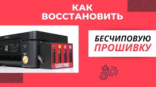 Как восстановить бесчиповую прошивку на принтерах Epson?