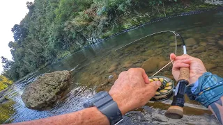 SOLO Fishing for NEW ZEALAND TROUT / 4K