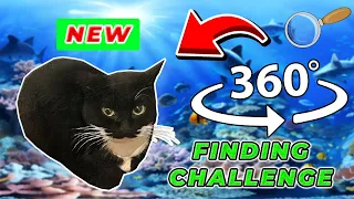 Maxwell Cat 360° - FIND MAXWELL CAT| VR/360 Video 4K 🔎😾