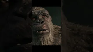 Kong Lost His Home #kong #kongvsgodzila #godzillavskong