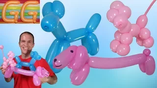 how to make balloon dog - balloon dog