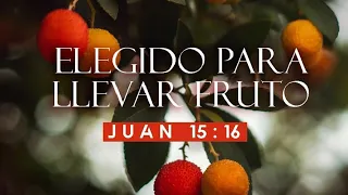 Elegido para llevar fruto (Juan 15 16)