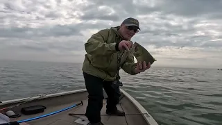 Great Day on Lake St Clair!! Chasing Largemouth and Smallies!!