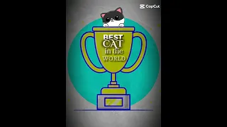 Best cat in the world! #best #cat #viral #shorts