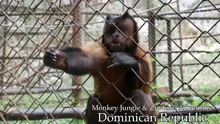 Monkey Jungle and Zip Line -  Dominican Republic