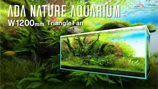 [ADAview] Triangle Fan  -W1200mm Nature Aquarium Layout-【EN/JP Sub.】