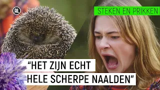 EMMA WORDT GEPRIKT DOOR EEN EGEL! | Steken en Prikken #2 | NPO Zapp