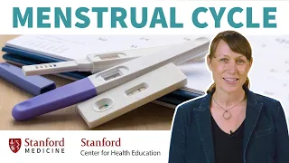 Menstrual Cycle & Pregnancy Myths Busted by an Ob/Gyn | Stanford