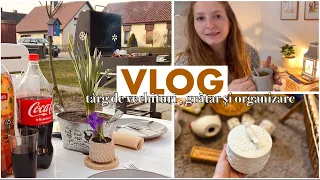 Vlog | Târg de vechituri , grătar și organizare și planificare pentru vlogster