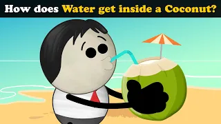 How does Water get inside a Coconut? + more videos | #aumsum #kids #science #education #children