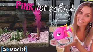 Ausstellung in PINK 🐡 Tolle neue Möglichkeit bekannter zu werden 🐠 Aquarist deutsch 🌿 Folge 04