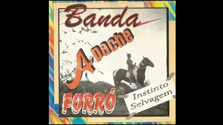 Banda Apache Saudade De Você