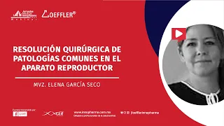 Resolución quirúrgica de patologías comunes en el aparato reproductor