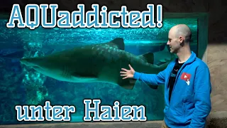 Zu Besuch im größten Aquarium Mitteldeutschlands | Meeresaquarium Zella-Mehlis | Teil 1/2