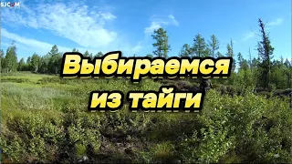 Выбираемся с тайги. Вездеход (каракат) ЗВЕРЬ в деле. Трофеи в конце видео.