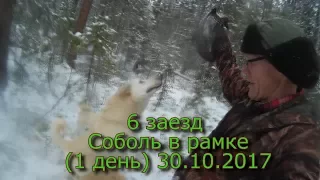 6 заезд Соболь в рамке (1 день) 2017