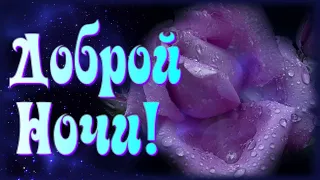 Доброй ночи, мое Солнце, доброй ночи!