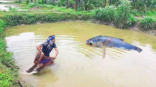 Cast Net Fishing | Traditional Cast Net Fishing In Village (Part 113)