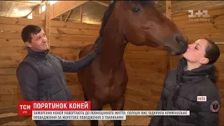 Заморених коней кінно-спортивного клубу в Києві повертають до повноцінного життя
