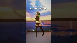 The 2 Types of Full Body Tracking (VRChat)