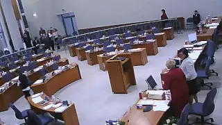 Vilniaus miesto savivaldybės tarybos posėdis Nr.2 2011 05 04 1 dalis