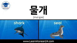 Sea Animals In Korean | Korean Vocabulary Exercise