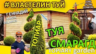 HOW I MAKE LOVE IN THE GARDEN | BALL CUT | LORD OF CONIFERS | MINSK | BELARUS