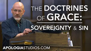 Doctrines of Grace - Sovereignty & Sin